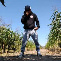 cristian.l2206
