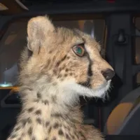 original sound - s_u2019