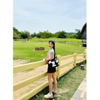 poppy_ja28