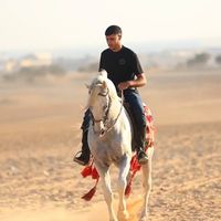 الصوت الأصلي