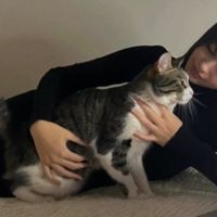 Королева