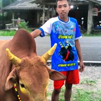เสียงต้นฉบับ - น้องนาย🐦