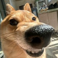 lucky_mo0n