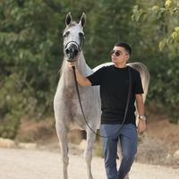 hadi.taha2