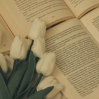 original sound - syifa