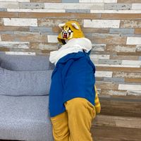 nv._.v07