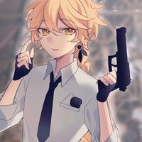 sanliarosethehedgehog