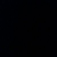 munis120794