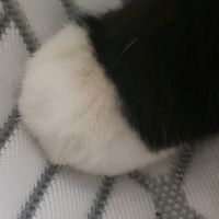 오리지널 사운드 - 인생끌어치기