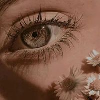 _um_alward
