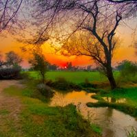 sada_punjab04