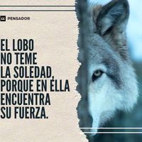 alexander.m.a07