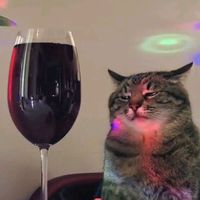 güzel kızlarımın şarkısııı