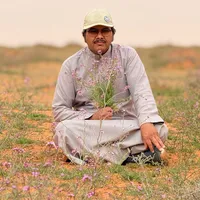 original sound - mashe_alzamil