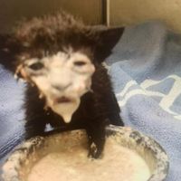 get with U by clairo