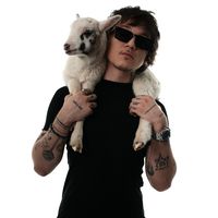 оригинальный звук