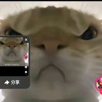user8715114248451