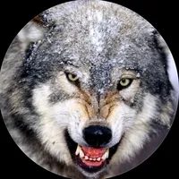 original sound - du.im.srti.zark