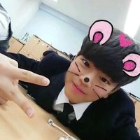 stray_4433
