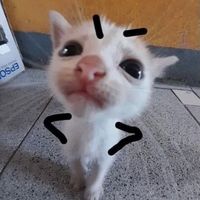 nhạc nền - Ngày nào cũg đi làm
