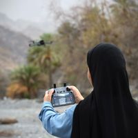 الصوت الأصلي