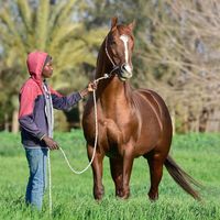 user9179062600324gobran