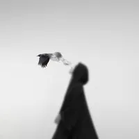 original sound - khadi.hasan_8