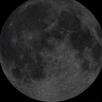 オリジナル楽曲 - ♛