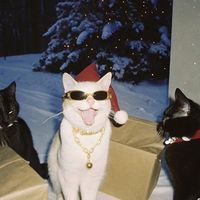 原聲 - 討厭壞女人