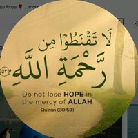 ali_awan.039