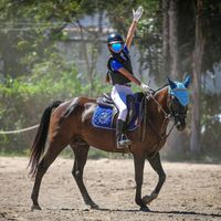 biaequestrian_