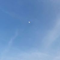 original sound - N I Y A ❤️‍🩹