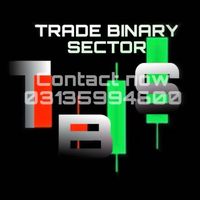 trade_binary_sector
