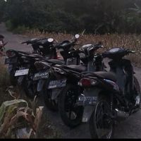 suara asli
