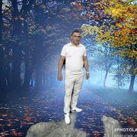 orijinal ses
