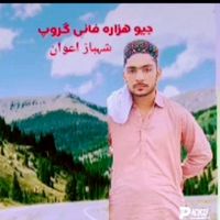 shahbaz.awan0665