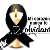 melany.sanchez3609