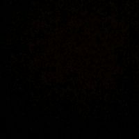loly_lilo_ali