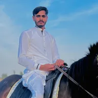original sound - ch_farhan_jutt_1