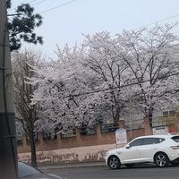 original sound - zohaib khan 🇵🇰 💞 🇰🇷