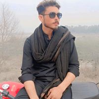 aliahmad03555