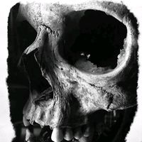 artecaveira