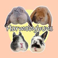 harmonybuns