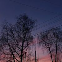 оригинальный звук