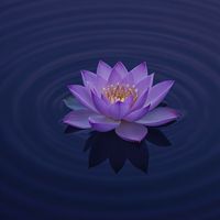 nawang_pema1