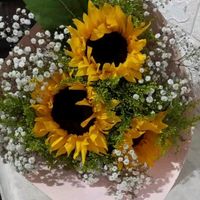 haydee_028