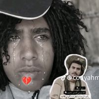 user52781856355441tiktok