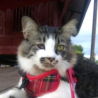 user06453073sukhon