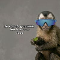 miquinho_chato