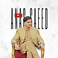anassaeedvlogs